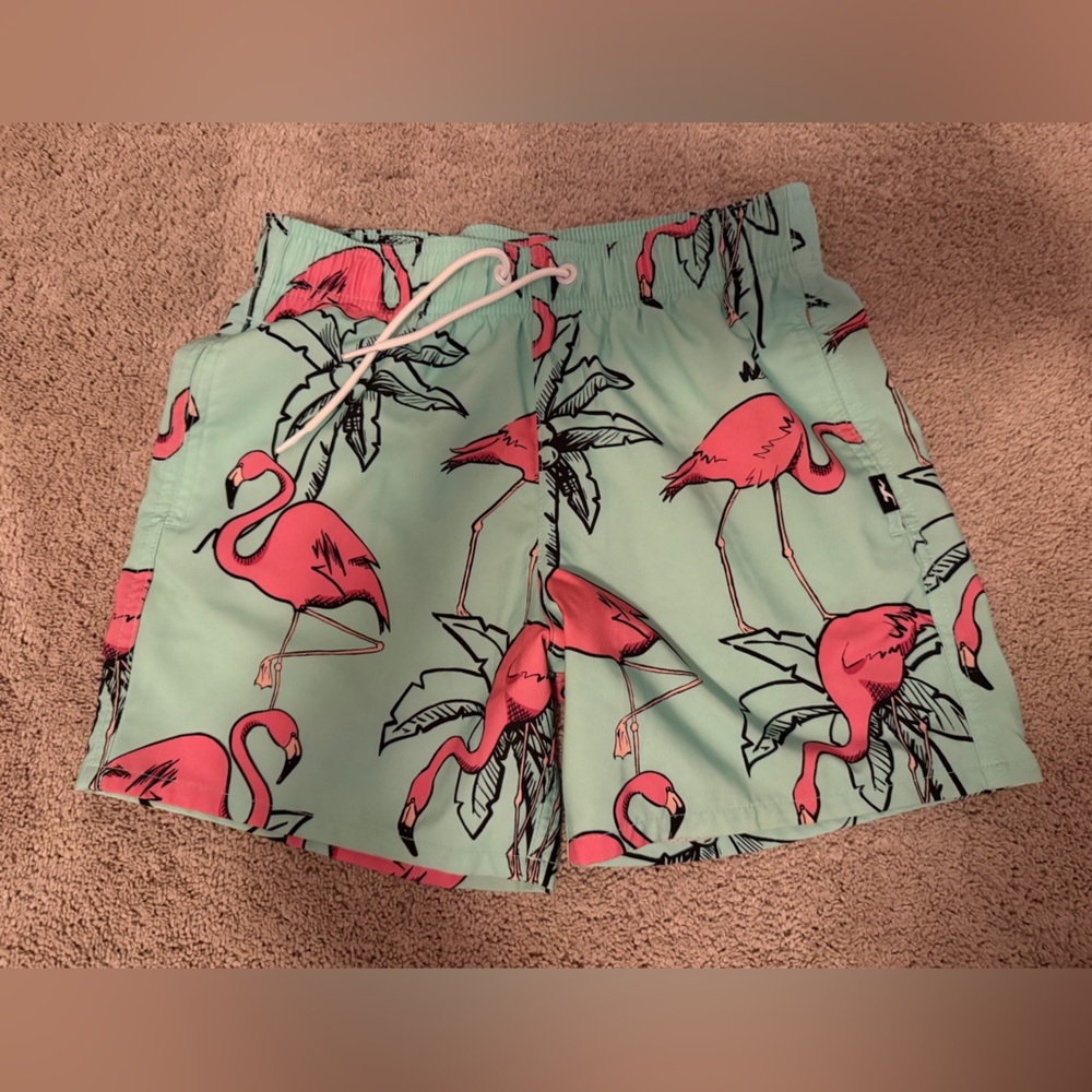 Hollister Aqua Flamingo Swim Shorts